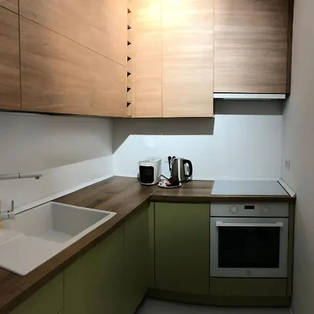 Apartment One Floreasca Near Park Luxury *